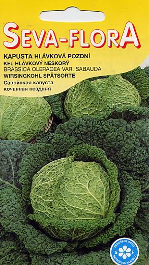 Семена овощей: Капуста савойская