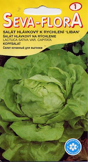 Семена овощей: семена салата