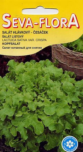 Семена овощей: семена салата
