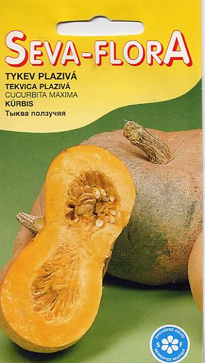 Семена овощей: семена тыквы