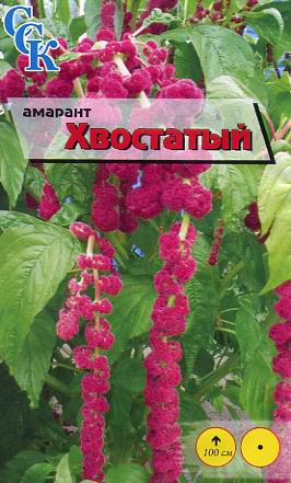 Пакетированные семена амарант хвостатый