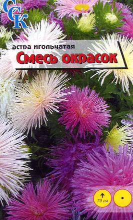 Пакетированные семена астра игольчатая
