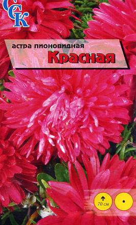 Пакетированные семена цветов: астра пионовидная