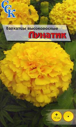 Пакетированные семена цветов бархатцы
