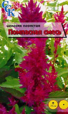 пакетированные семена цветов