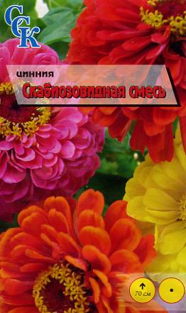 Пакетированные семен цветов
