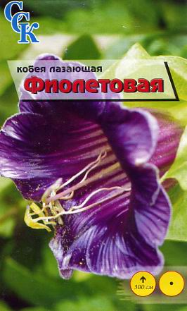 Пакетированные семена цветов