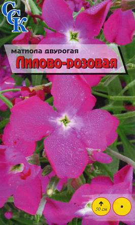 Пакетированные семена матиола