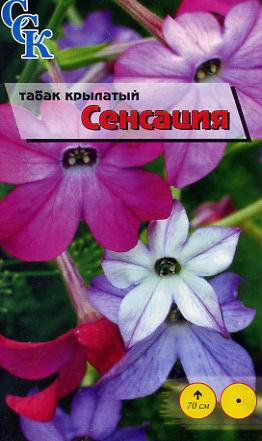 Пакетированные семена цветов табак