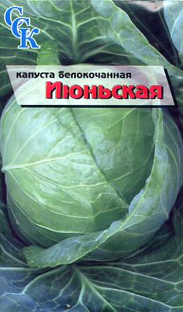 Пакетированные семена: Капуста