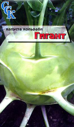 Пакетированные семена: Капуста кольраби