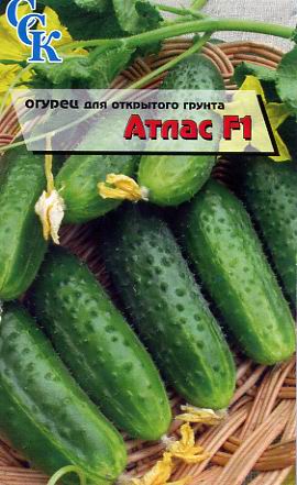 Пакетированные семена. Огурец