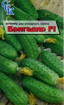 Пакетированные семена. Огурец.