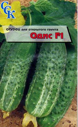 Пакетированные семена. Огурец