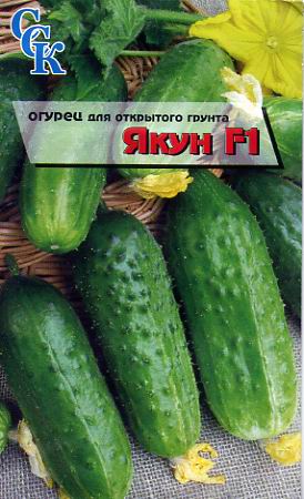 Пакетированные семена. Огурец