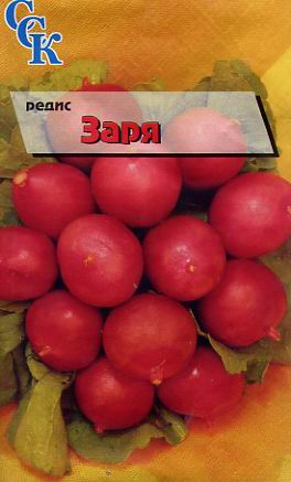 Пакетированные семена редиса