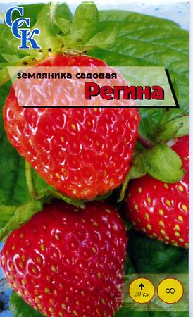 Пакетированные семена земляники